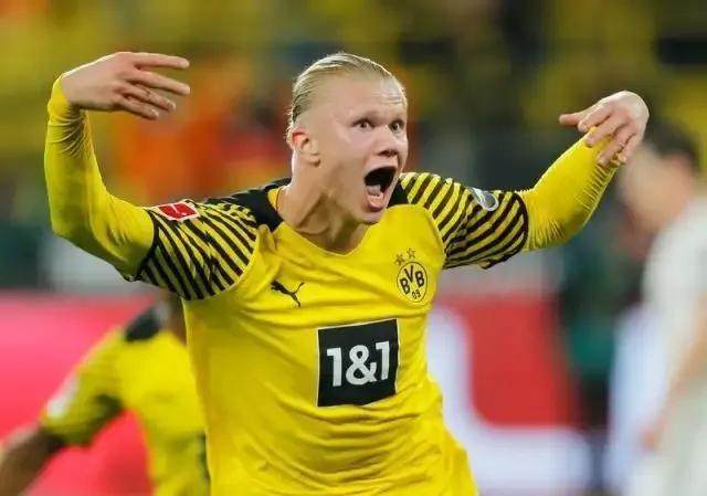 1650150050471074621.jpg 哈兰德.jpg